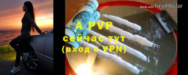 бошки Дмитров