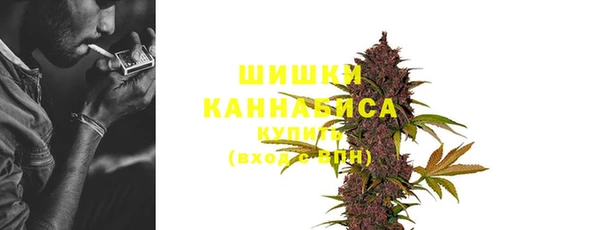 бошки Дмитров