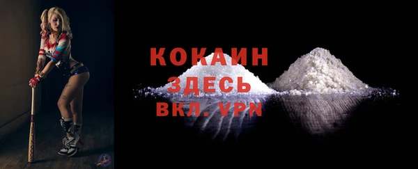 тгк Ельня