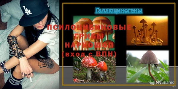 ALPHA PVP Дмитриев